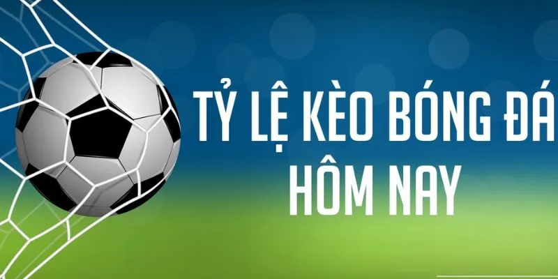 Tổng hợp từng loại kèo cược siêu hấp dẫn
